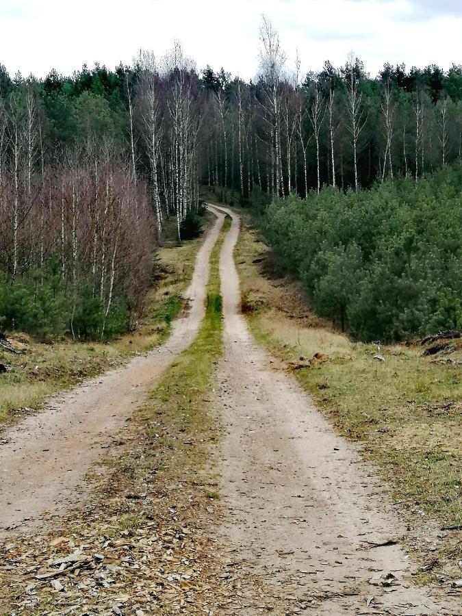 Wodamoja - Apartamenty Nad Jeziorem Stawiguda Exterior foto